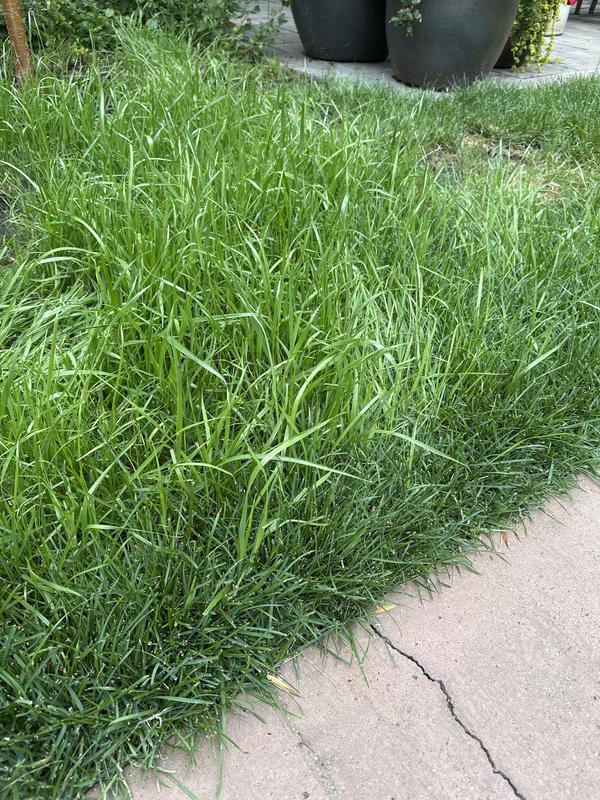 Photo - commentaire 3.