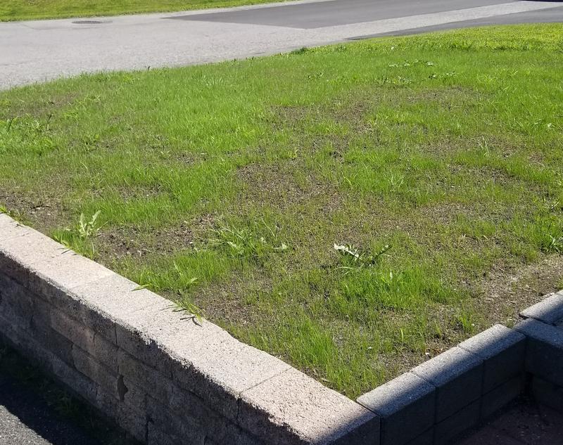 Photo - commentaire&nbsp;6.