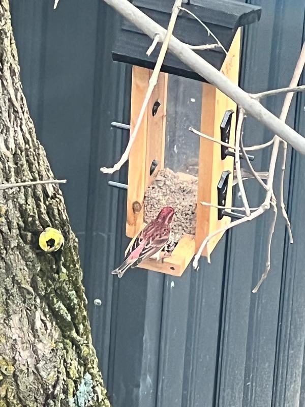 Photo - commentaire 3.