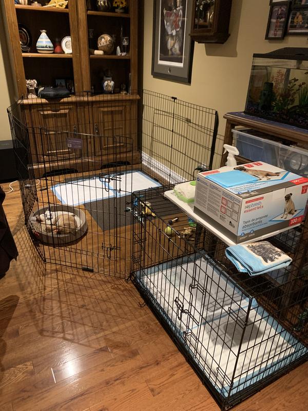 Dog playpen sale canadian tire