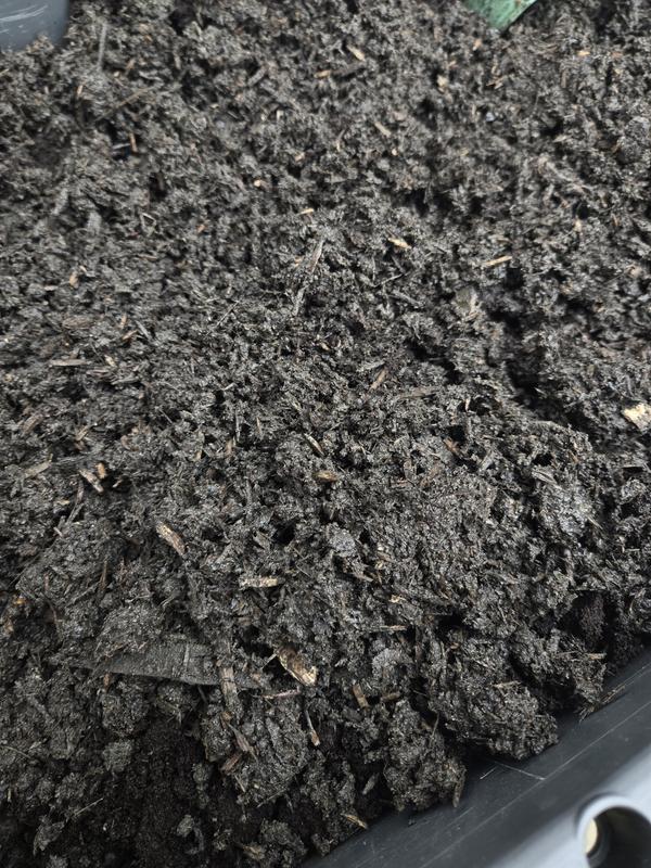 The "soil"