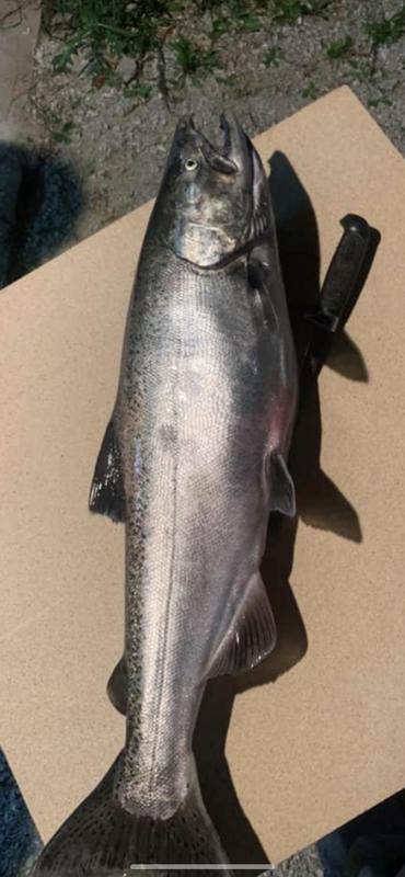 Photo - commentaire&nbsp;3.