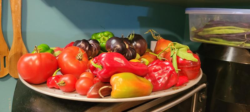 Photo - commentaire 2.