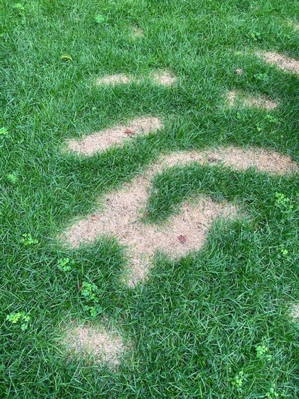 Photo - commentaire 4.