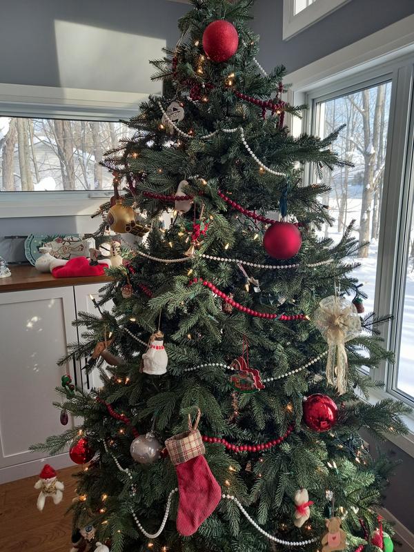 Photo - commentaire 1.