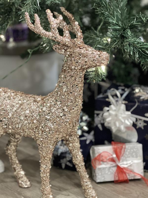 Photo - commentaire&nbsp;1.