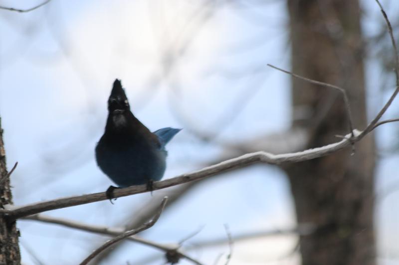 Photo - commentaire 3.