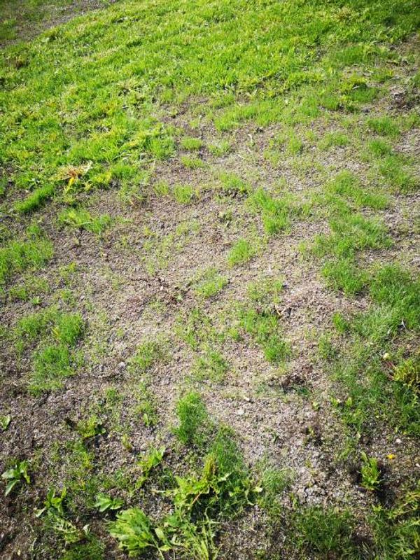 Photo - commentaire 2.