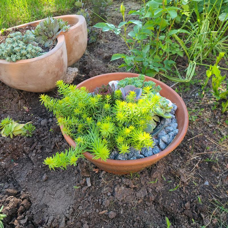 Photo - commentaire&nbsp;2.