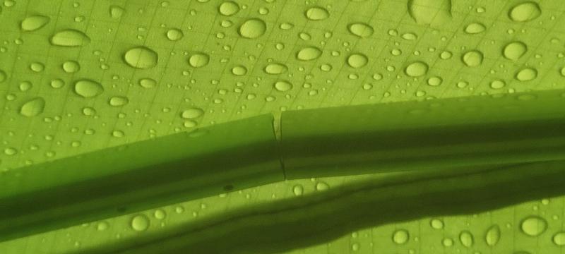 Photo - commentaire&nbsp;4.