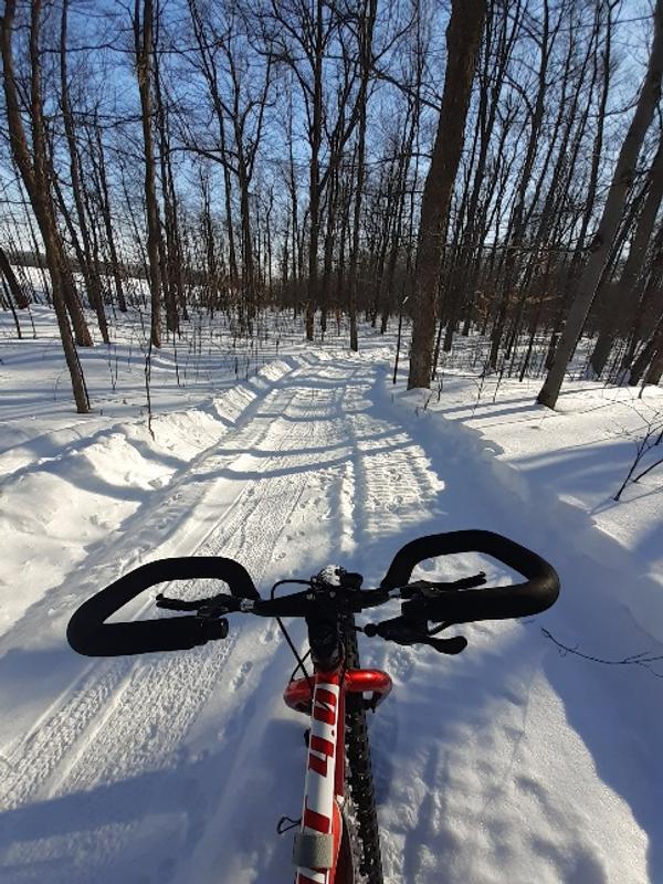 Photo - commentaire&nbsp;2.