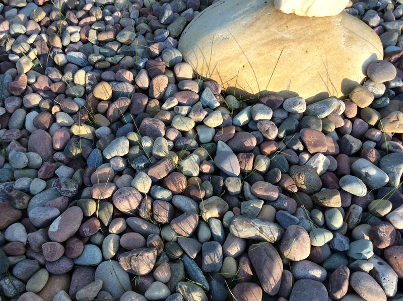 Grass under three inches of rock.