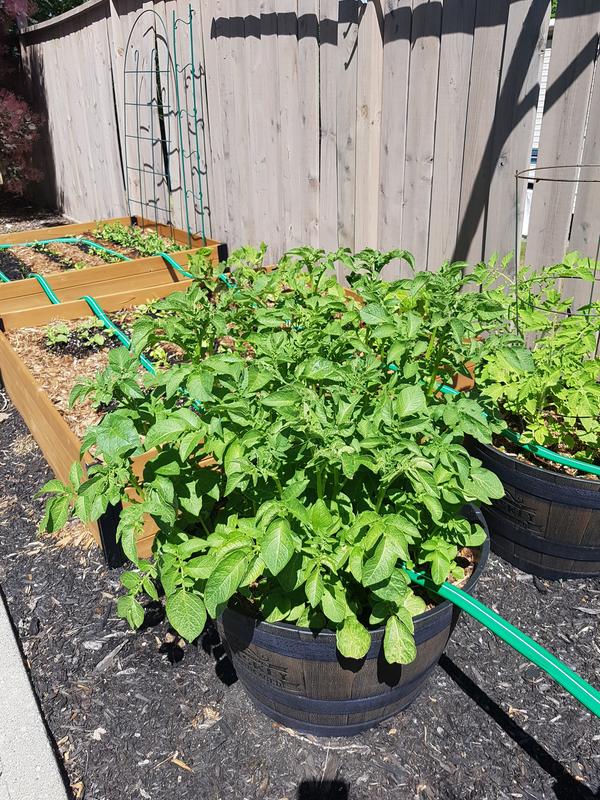 Photo - commentaire 3.