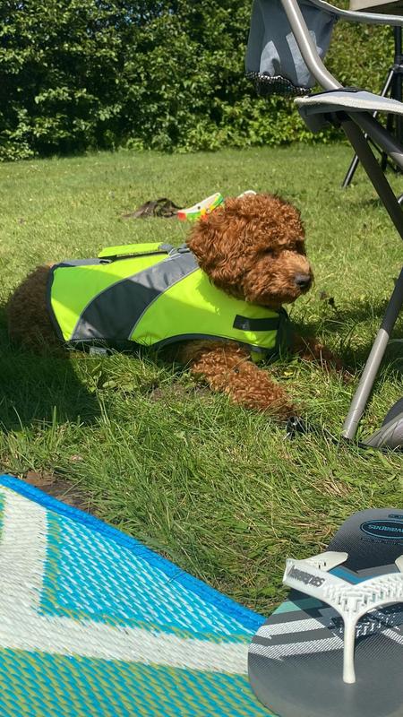 Hanging around in the new comfy life jacket