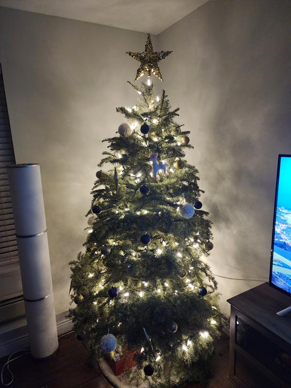 Photo - commentaire 5.