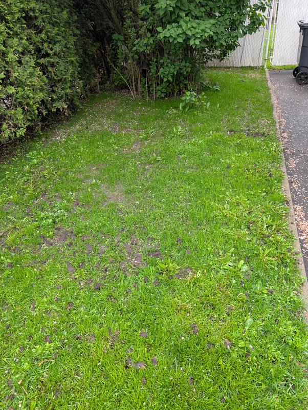 Photo - commentaire 3.