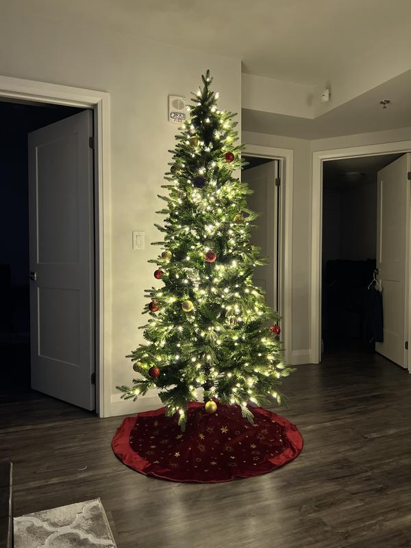 Photo - commentaire 3.