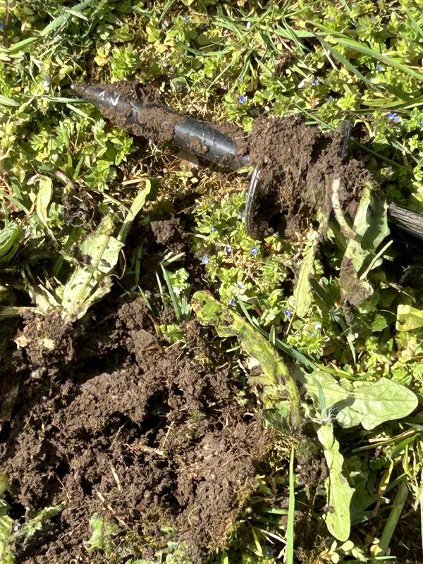 Photo - commentaire&nbsp;3.