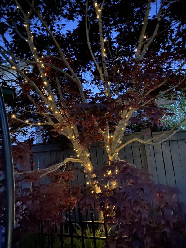 One string and then decided to add a 2nd set