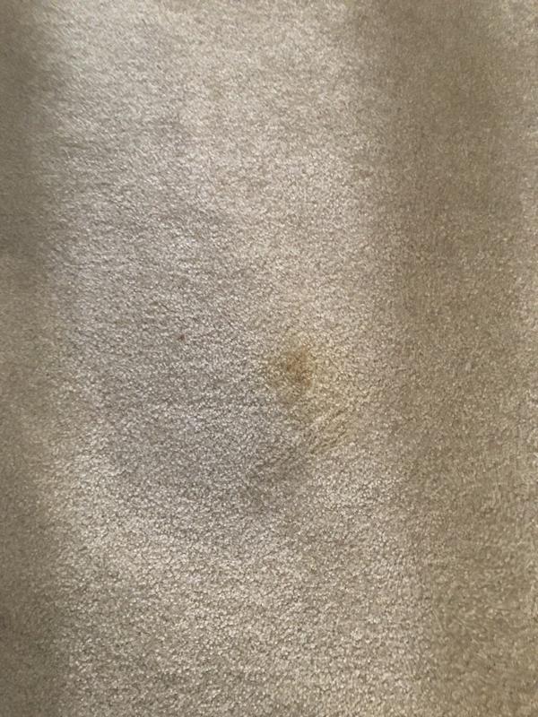 Non of the stains are gone it’s not big difference. And I used the liquid that comes with product . And the liquid which is a stain removal gone with other product. Not worthy