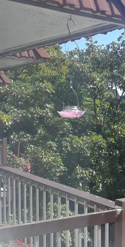 Feeder with perch I added