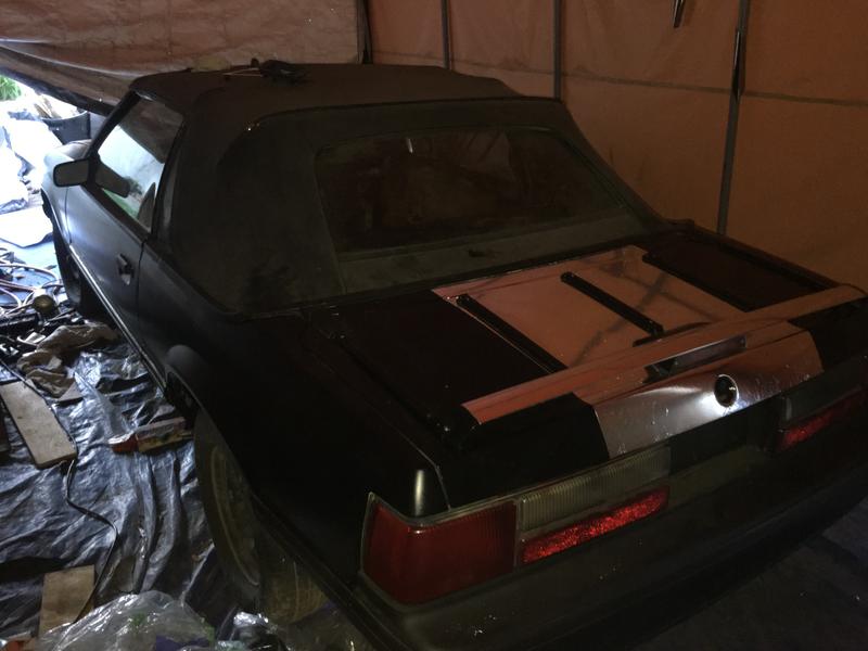 before and after pics