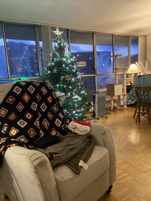 Photo - commentaire&nbsp;5.