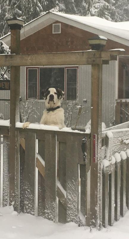 Photo - commentaire 4.