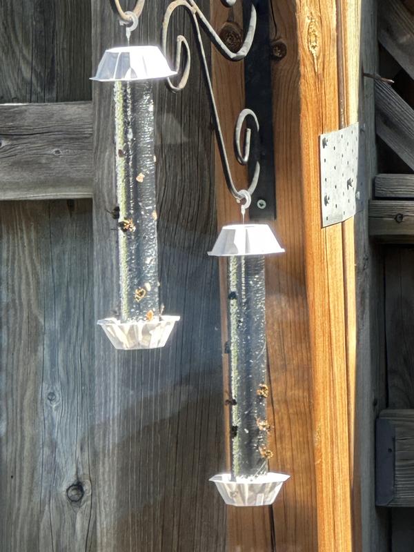 Photo - commentaire 2.