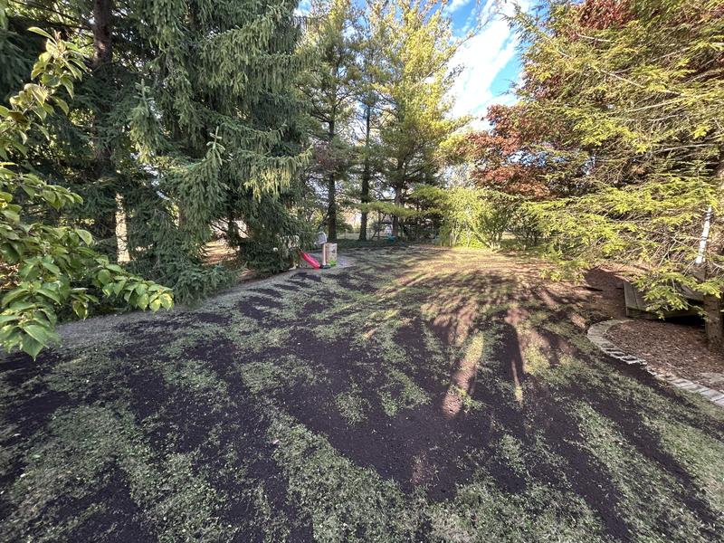 Photo - commentaire&nbsp;1.