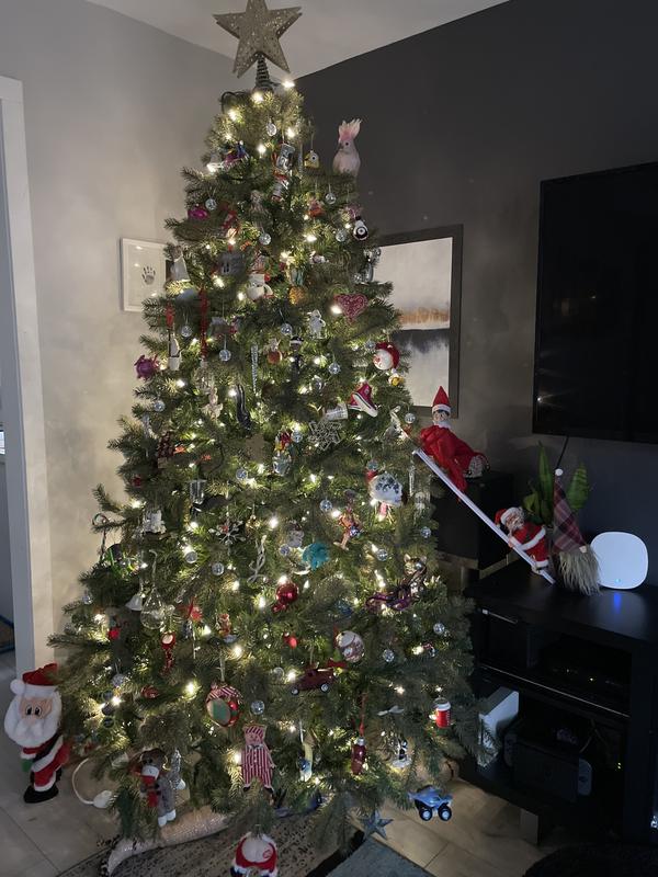 Photo - commentaire 4