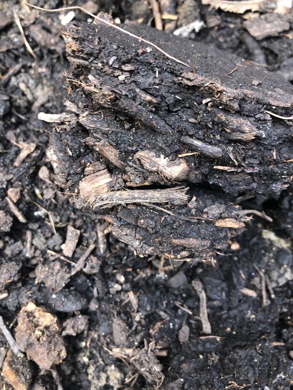 Compost marin biologique MiracleGro, engrais, 25 L Canadian Tire