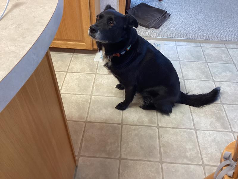 Photo - commentaire&nbsp;1.