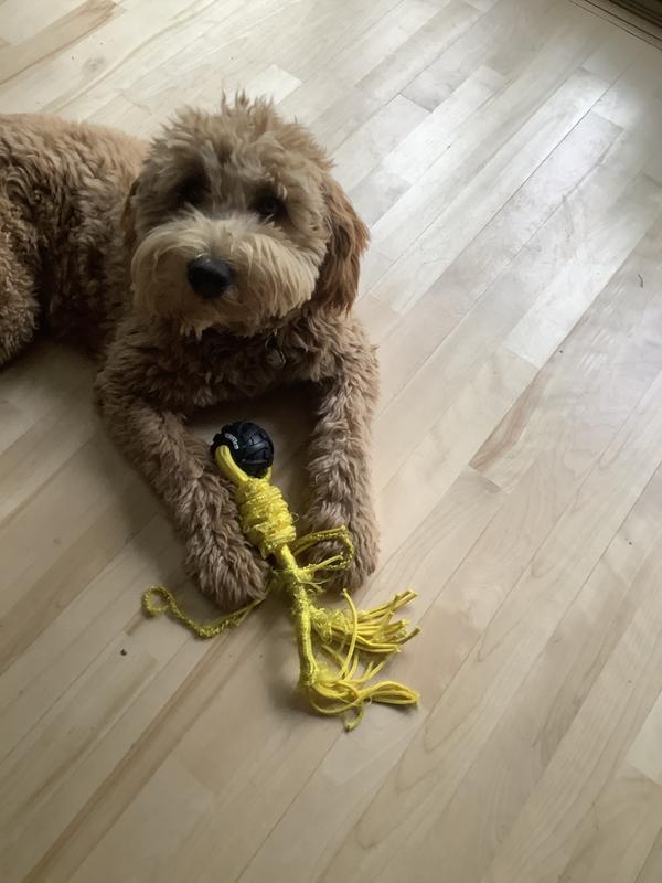 Photo - commentaire 1.