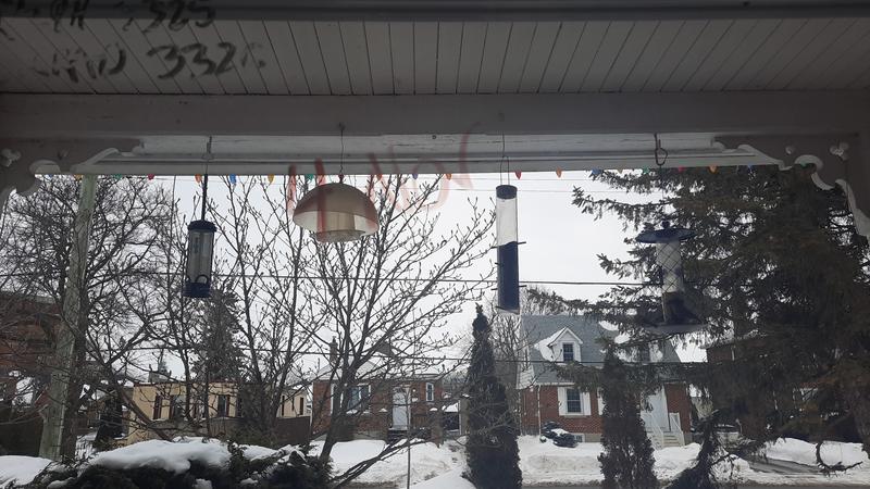 Photo - commentaire 4.