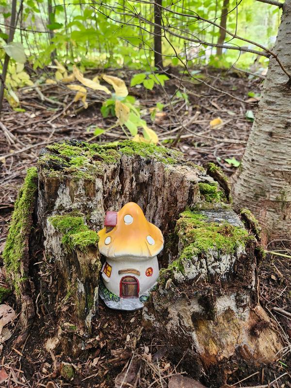 Photo - commentaire 1.