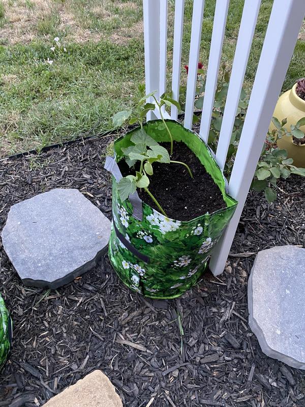 I only have a front yard so these bags work well