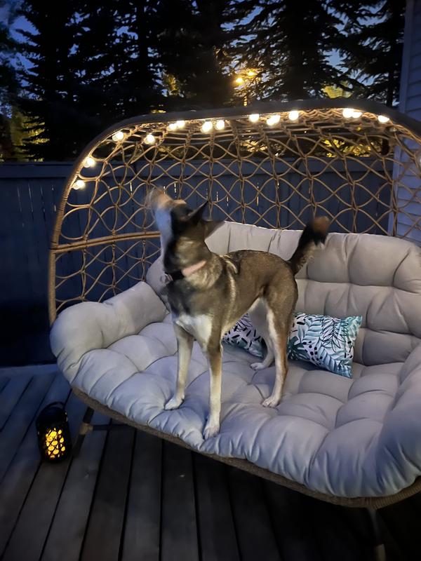 Dbl Egg Chair doubles as dog bed