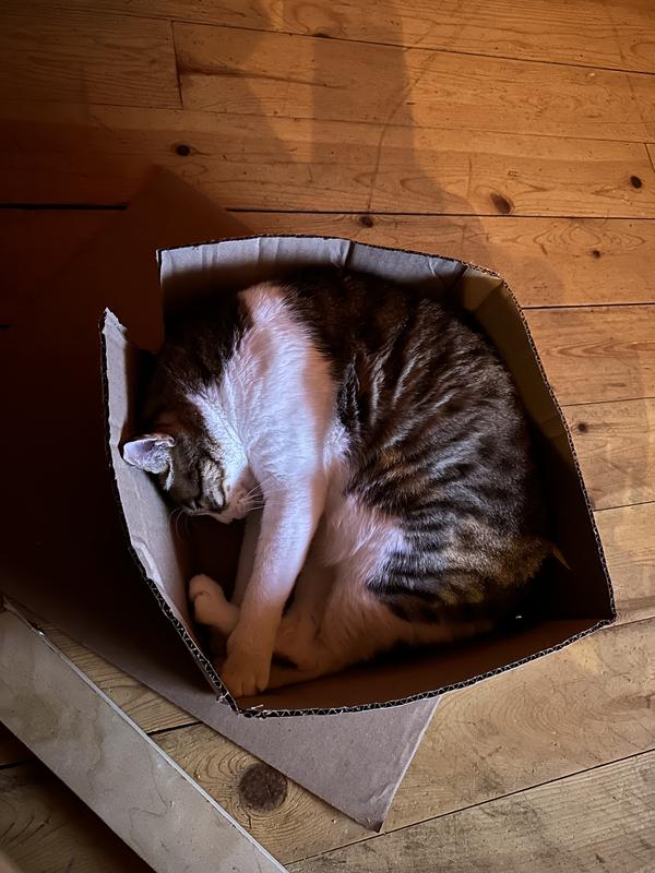 Photo - commentaire&nbsp;1.