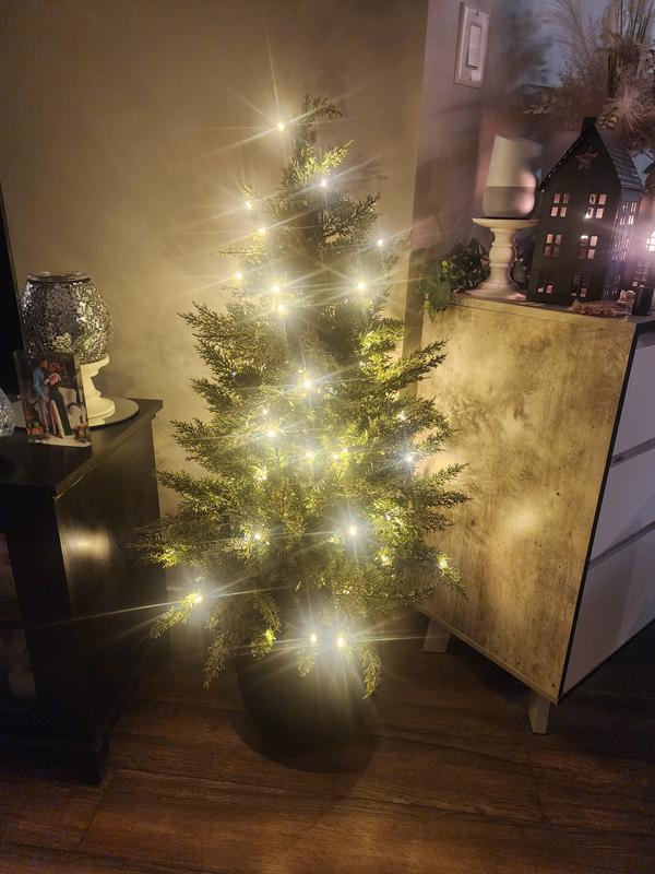 Photo - commentaire&nbsp;1.