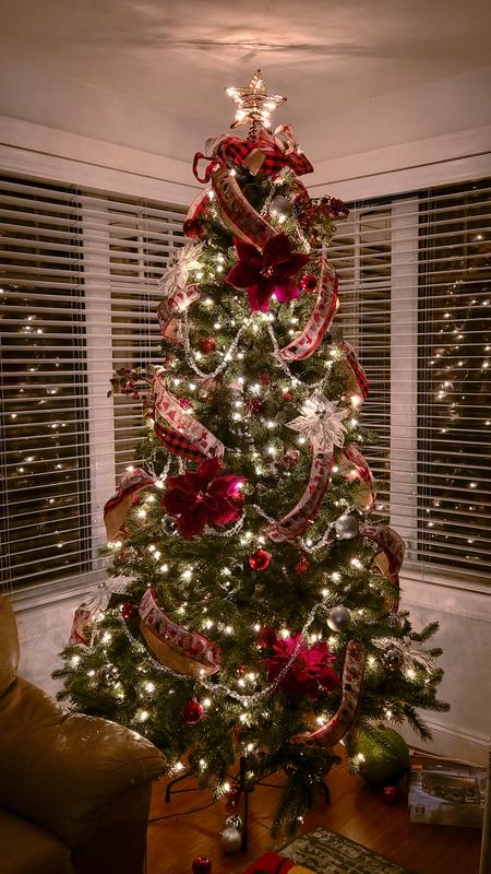 Photo - commentaire 1.