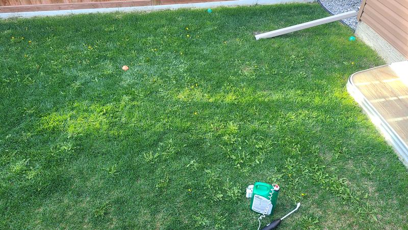 Photo - commentaire 5.