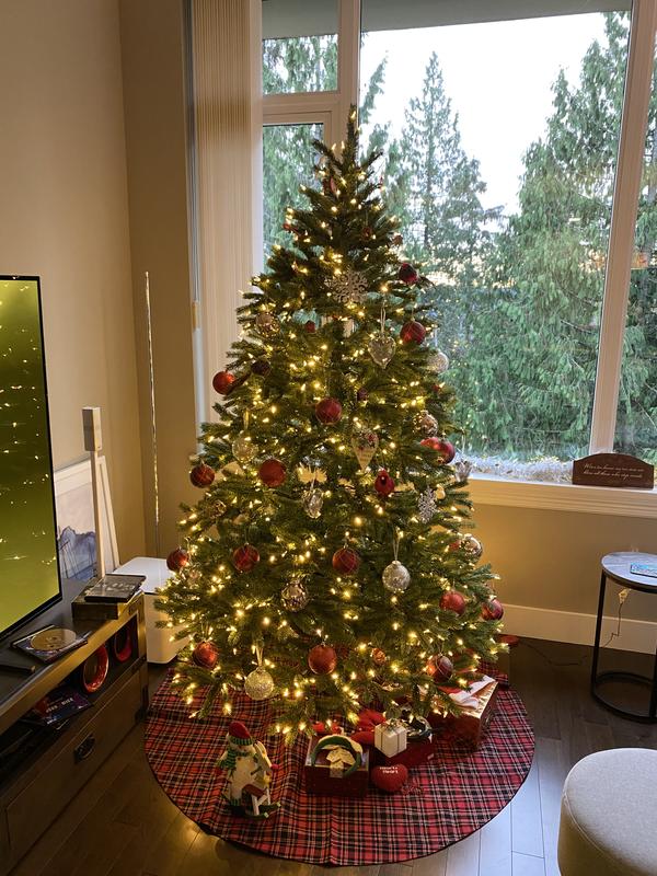 Photo - commentaire 1.