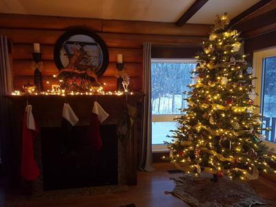 Our beautiful Christmas Tree