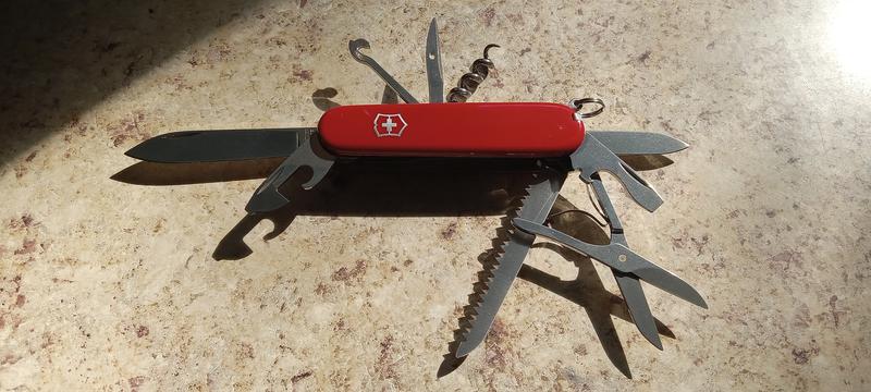 Photo - commentaire 2.