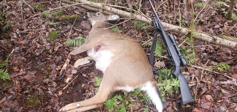 Photo - commentaire 1.