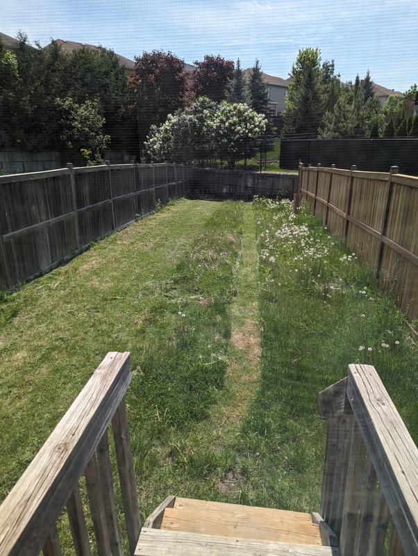 Photo - commentaire 4.