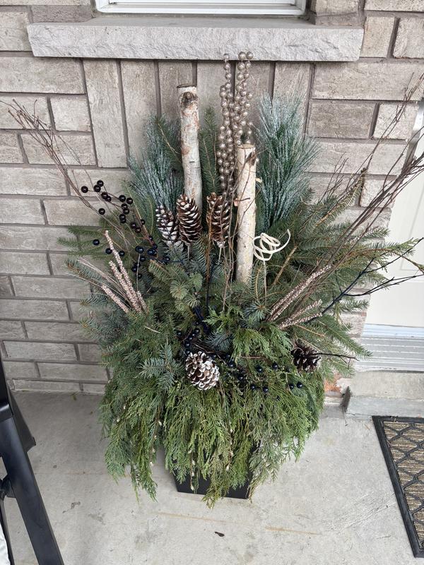 Photo - commentaire 1.