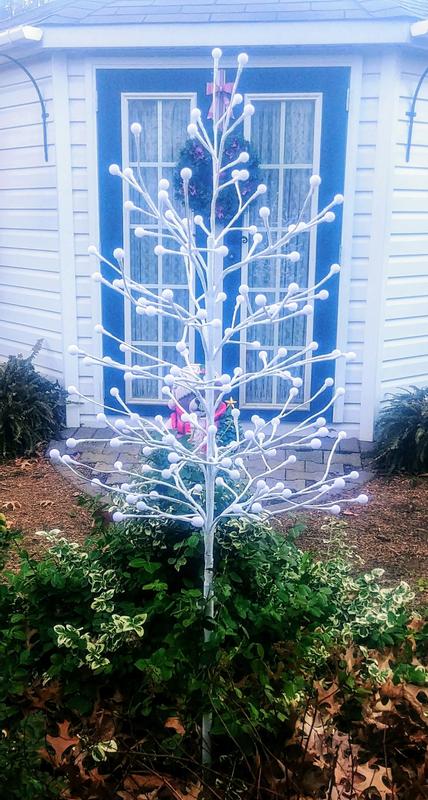 Photo - commentaire&nbsp;5.