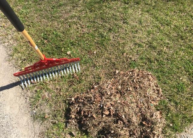 No review needed just look at the evidence